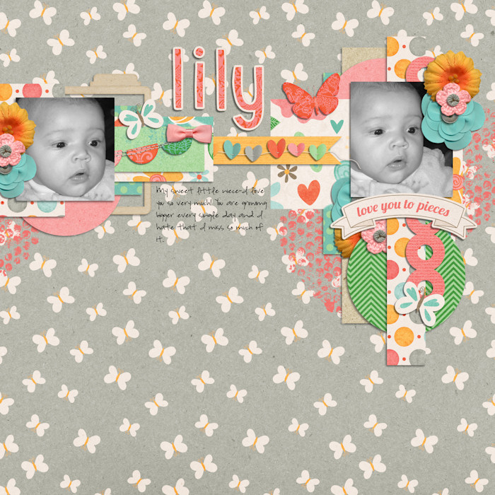 lily