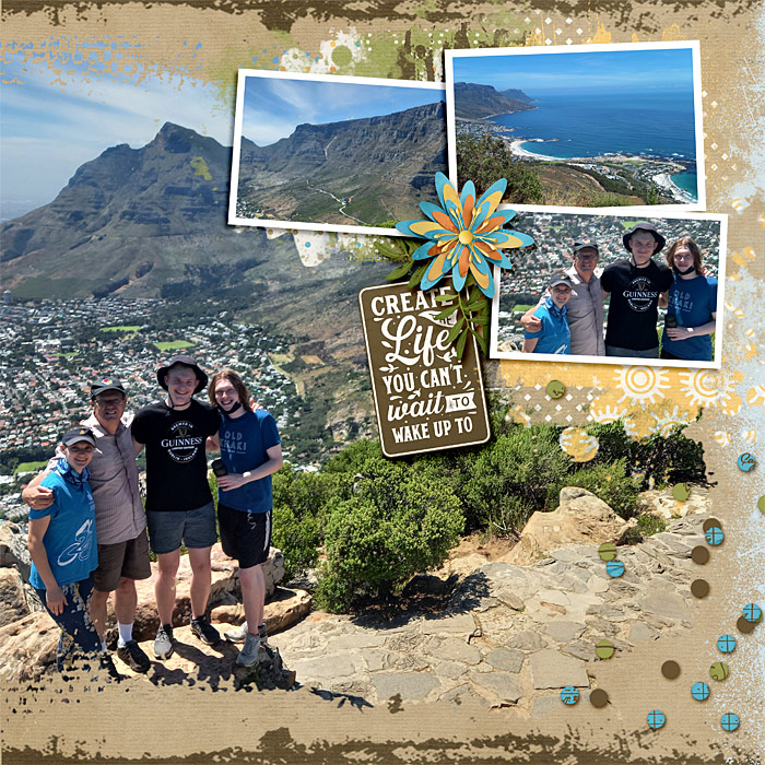 Lion's head