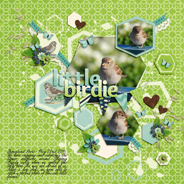 Little birdie