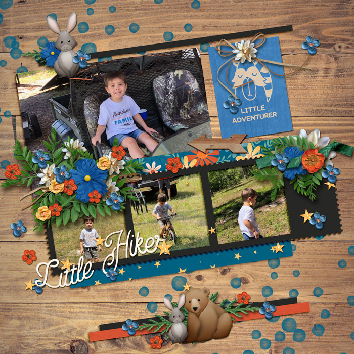 Little Hiker