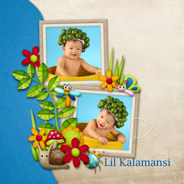 Little Kalamansi