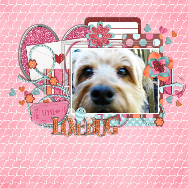 little lovebug