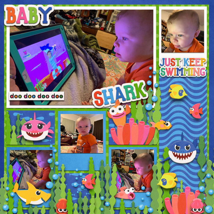 Little Shark
