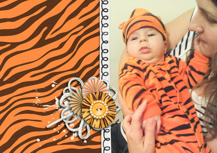 Little tiger