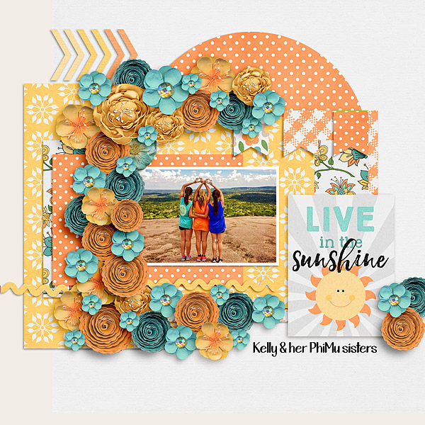 Live in the Sunshine