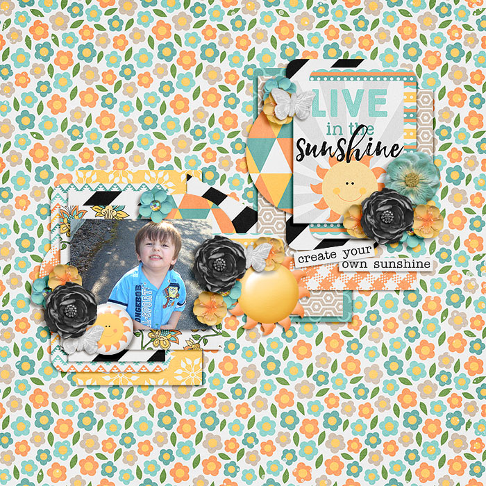 Live in the Sunshine