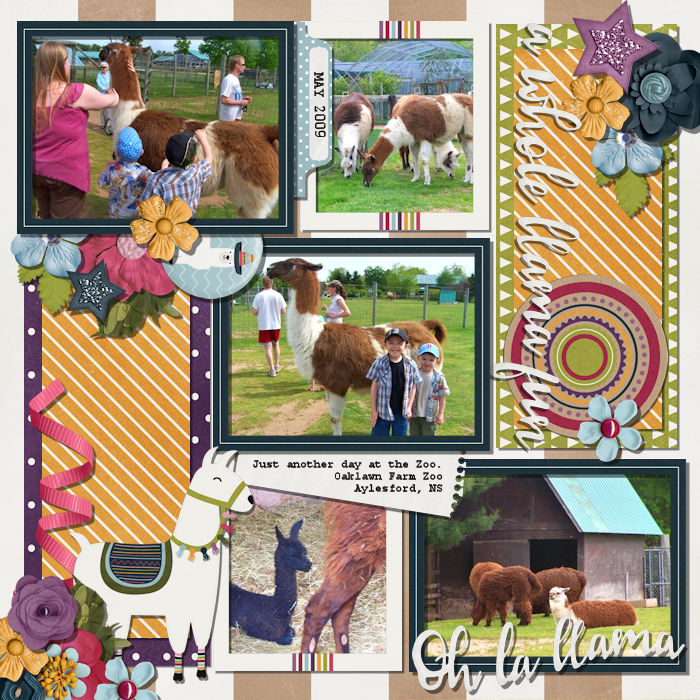 Llama Fun