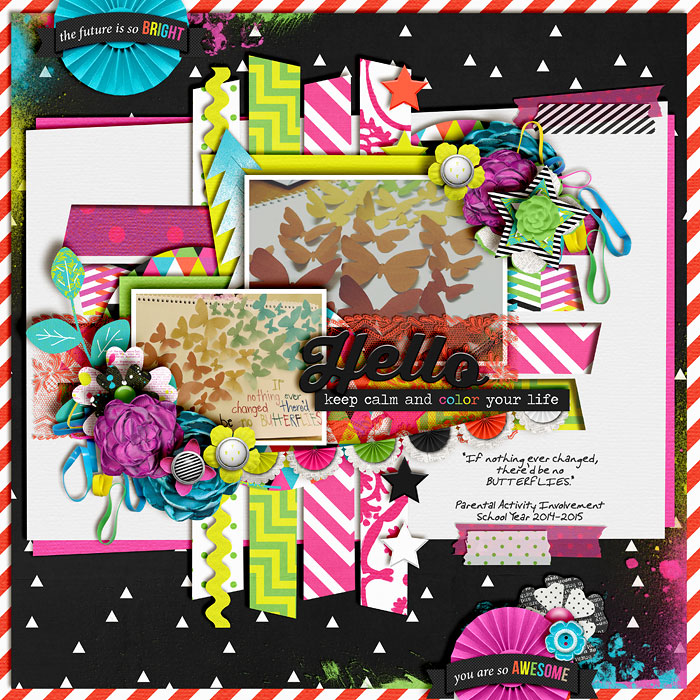 LO315 - A Future So Bright Kit