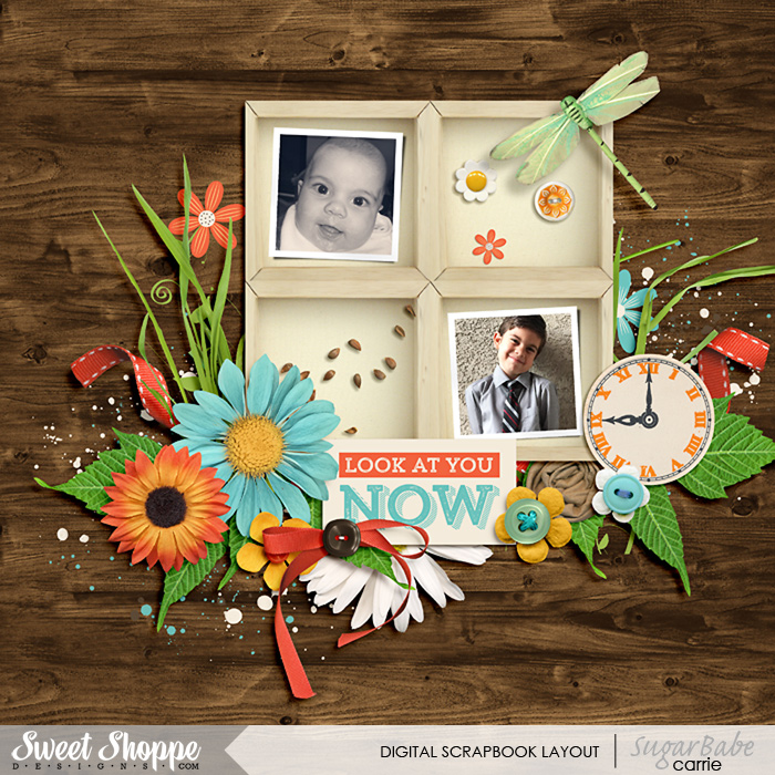 Look At You Now