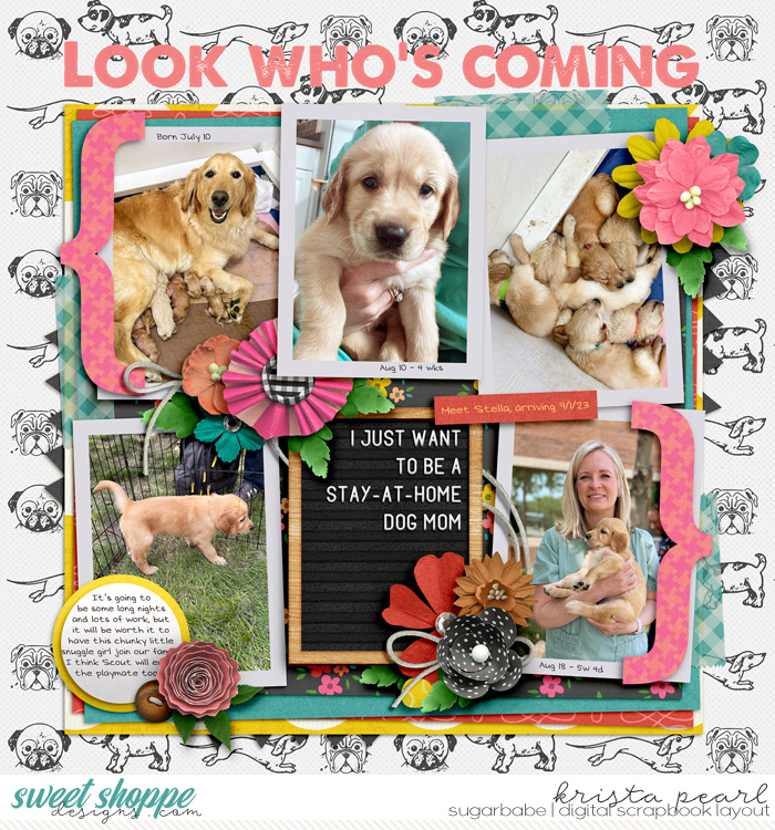 Look Who's Coming