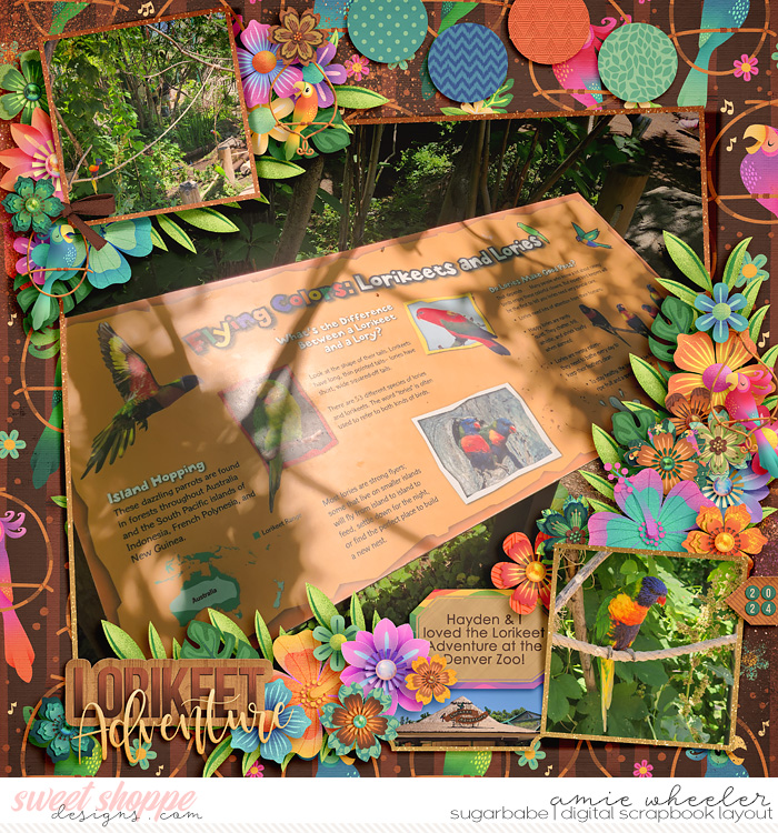 Lorikeet Adventure