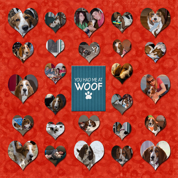 Love at First Woof