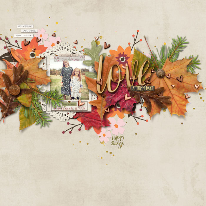 Love Autumn Days