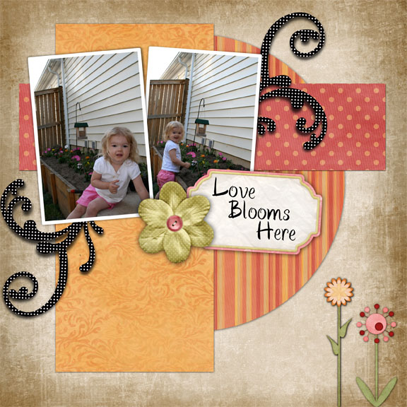 Love Blooms HEre