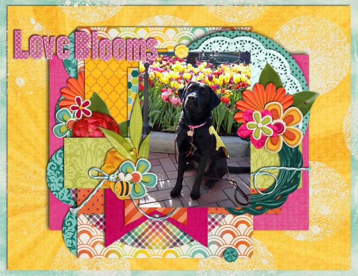 Love Blooms