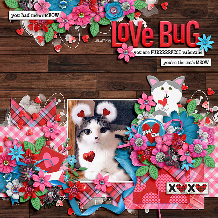love bug