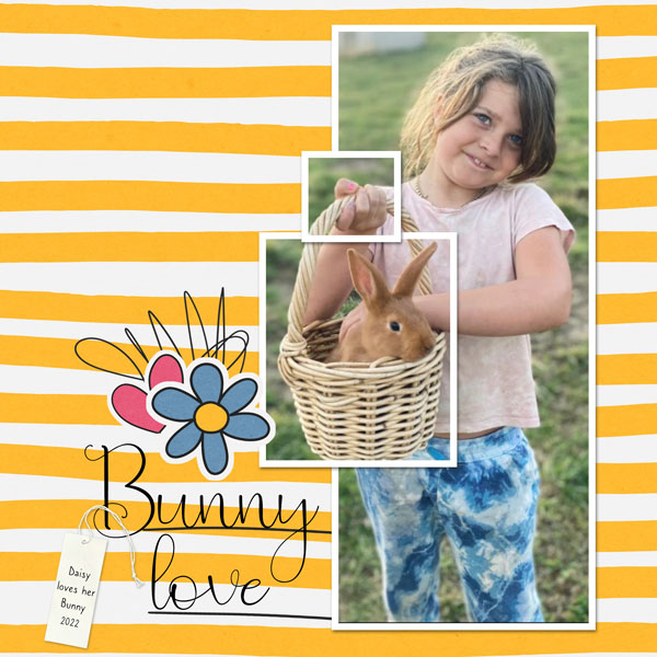 Love Bunny