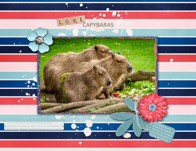 LOVE CAPYBARAS