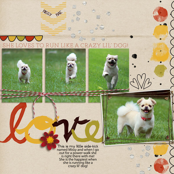 Love - Crazy Lil' Dog