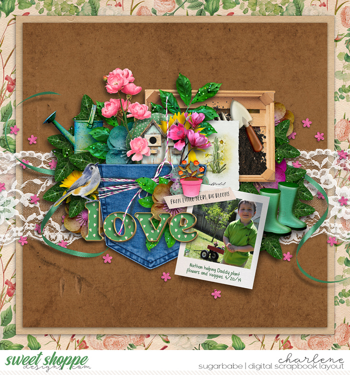 Love - From Little Seeds, Big Blooms