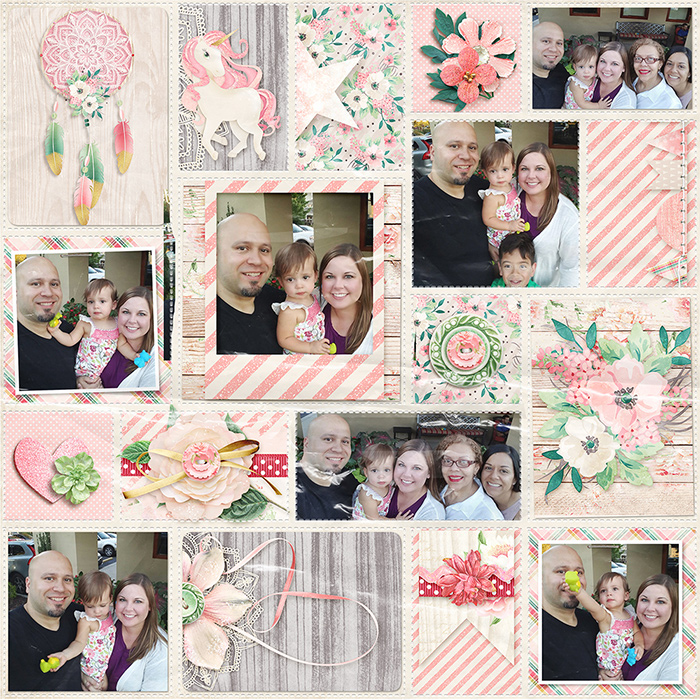 Love of a Family