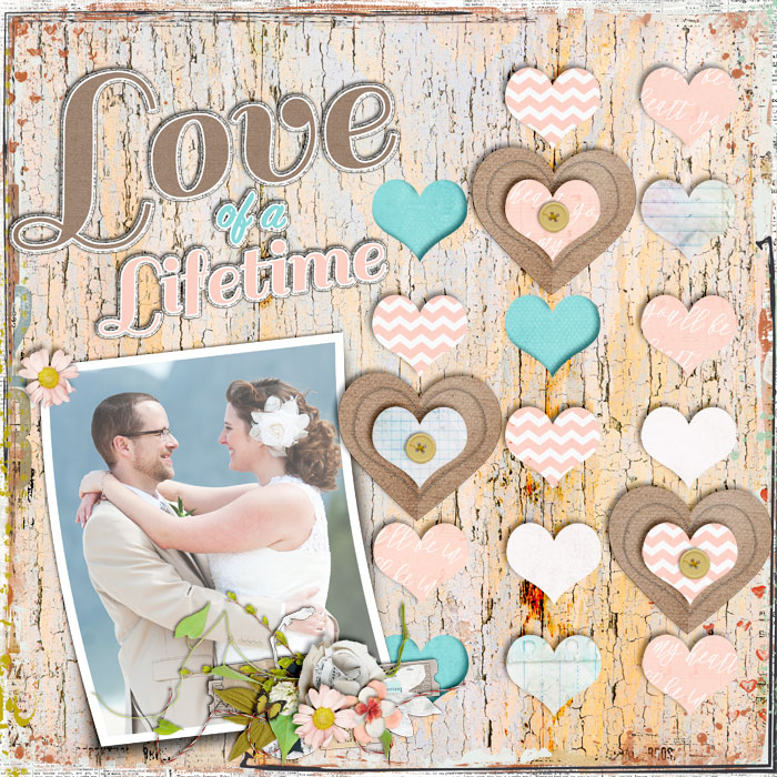Love of a Lifetime 2