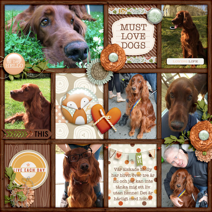 Love our Molly
