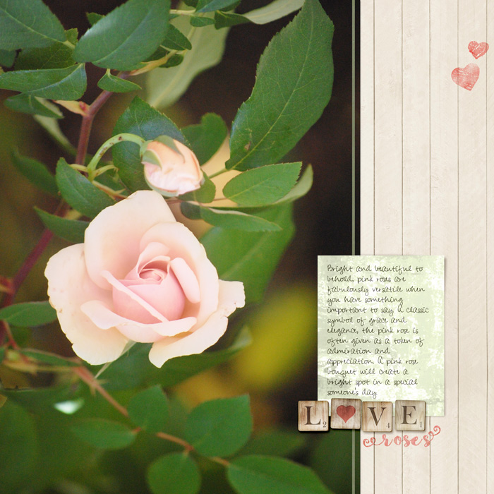 Love Roses