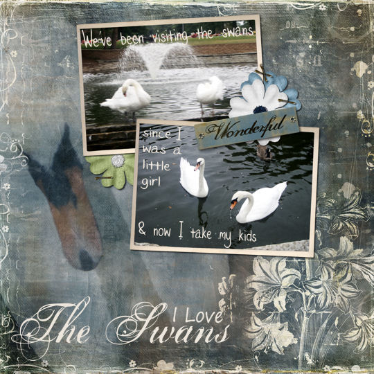 Love The Swans