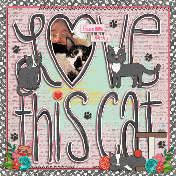 Love this Cat