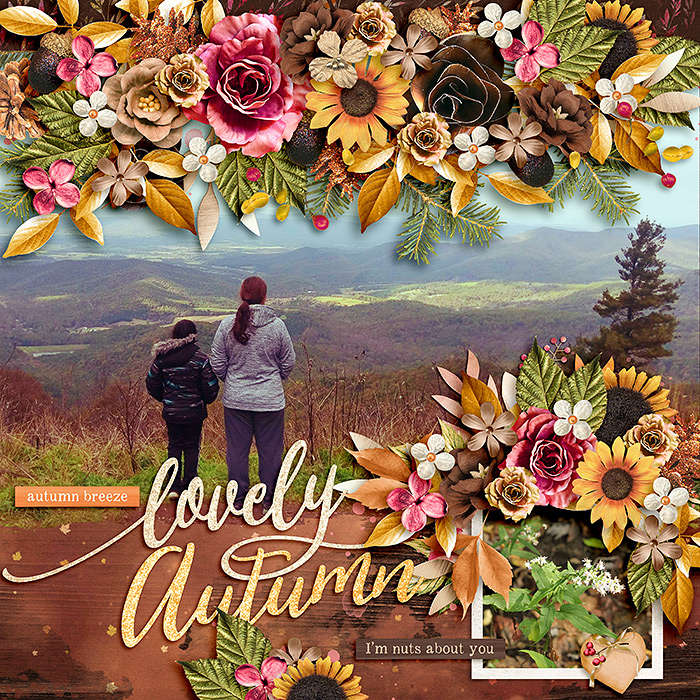 Lovely Autumn