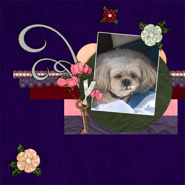 Lucky the Dog