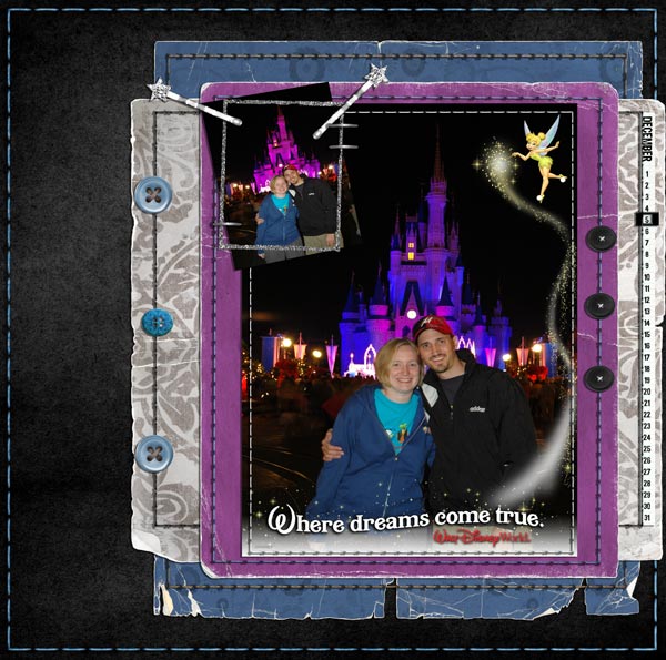 M&J Castle Pic DW07