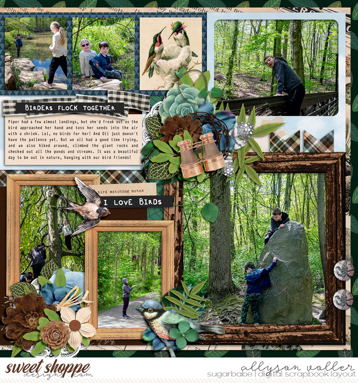 Magical birds 02