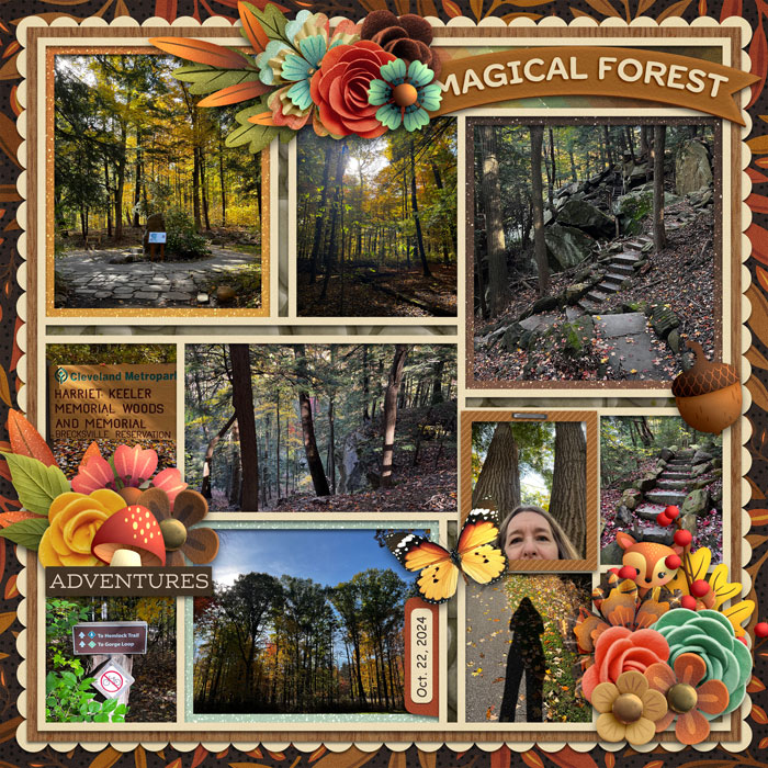 Magical Forest