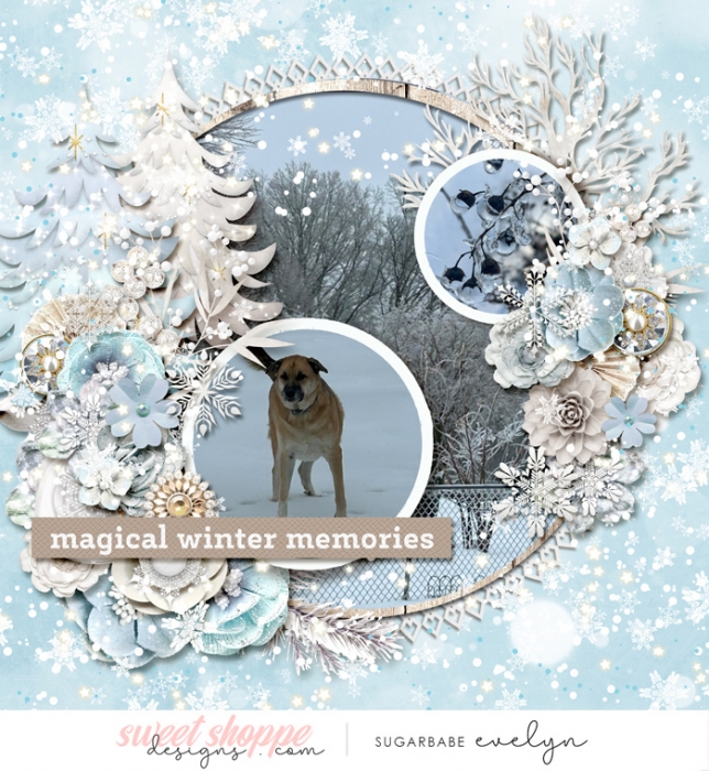 Magical Winter Memories