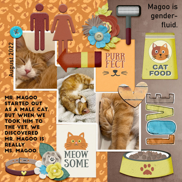Magoo
