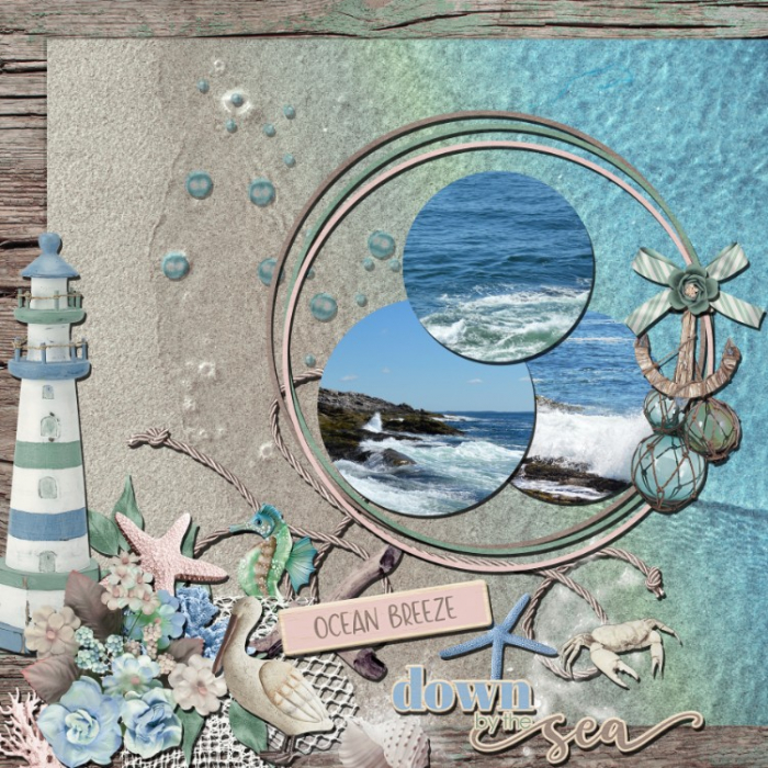 Maine Seashore
