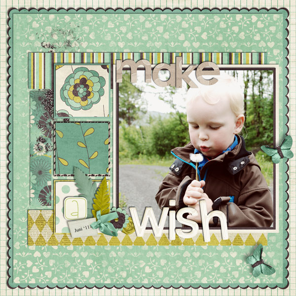 Make a wish
