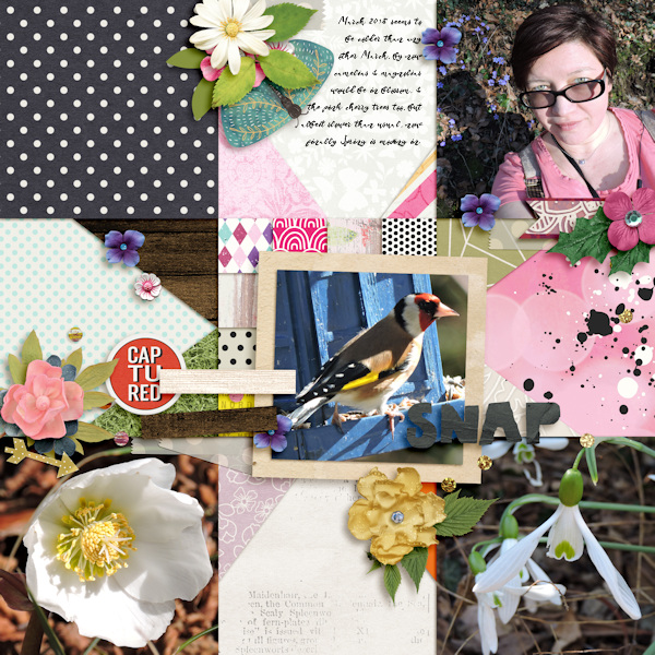 Mar 1 - freebies
