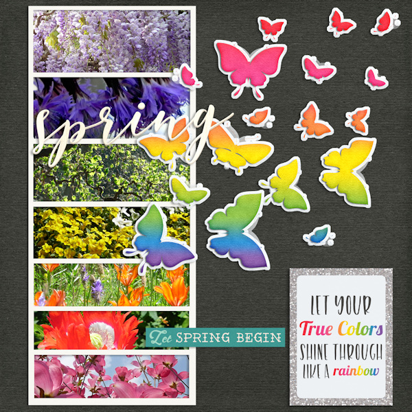 Mar 4 - buds and blooms