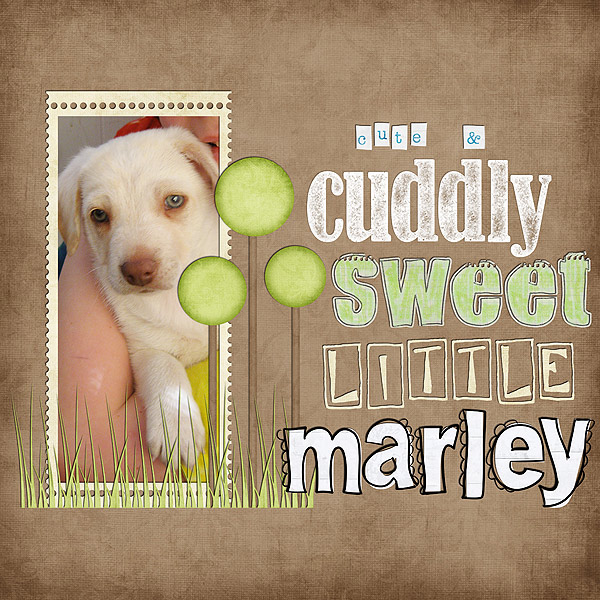 Marley