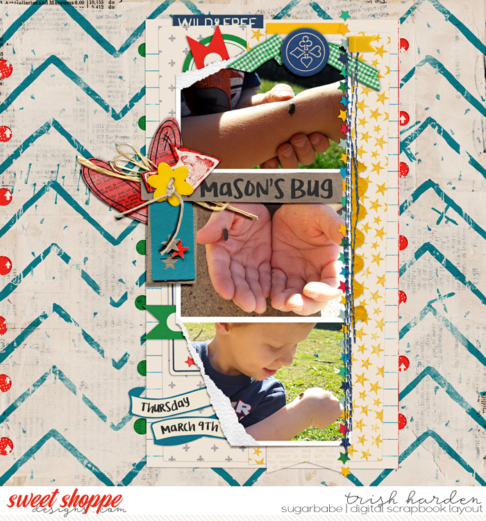 Mason's Bug