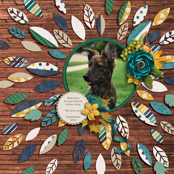 Max - Oct Bingo - #24