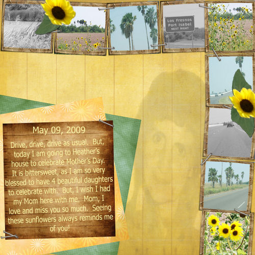 May 09, 2009