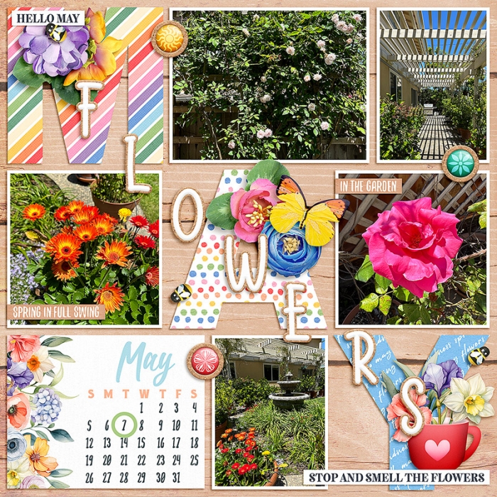May Flowers