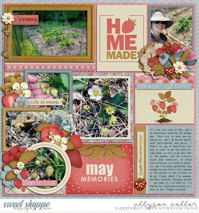 May Strawberry Memories