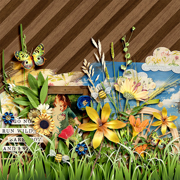 meadow