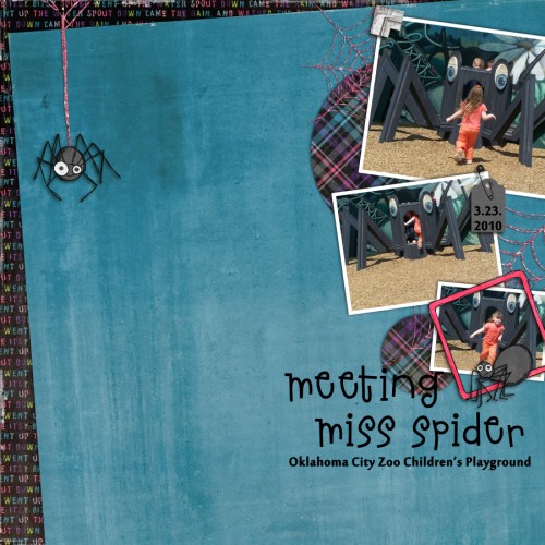 Meeting Miss Spider