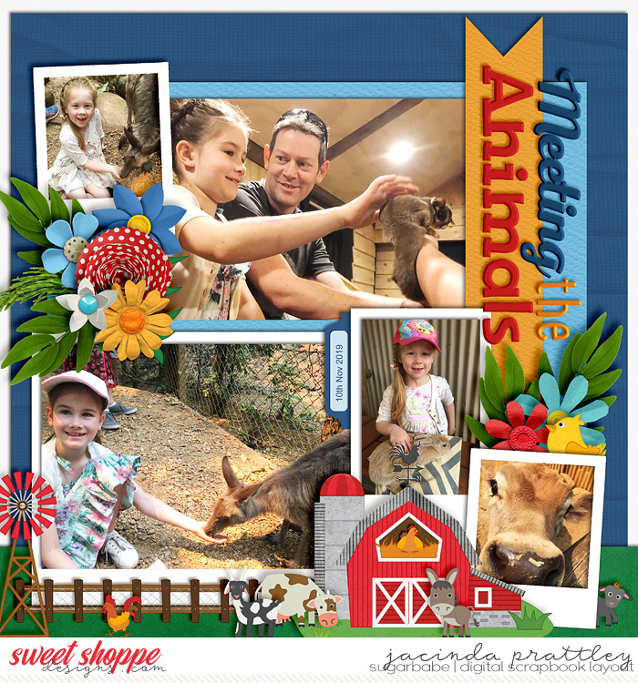 Meeting the animals